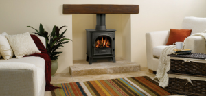 Gas Fire Stoves